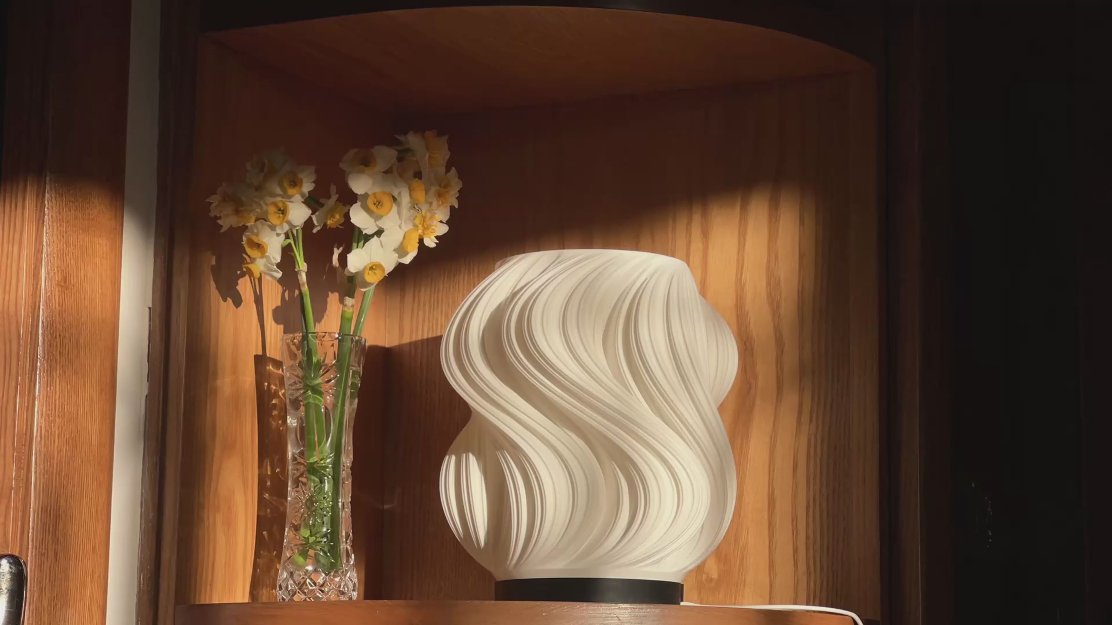 Charger la vidéo : 